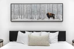 Flathead Valley - WF - Bella Alta Luxury Escape - Image 5