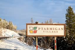 Flathead Valley - WF - Ptarmigan 61 - Image 5