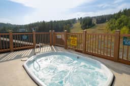 Flathead Valley - WF - Morning Eagle 401 - Image 2