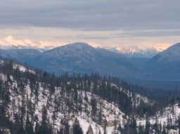 Flathead Valley - WF - Moose Run 372 - Image 5
