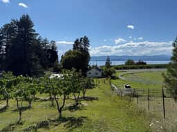 Flathead Valley - BF - Timber and Cherries Cottage - Image 2