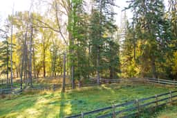 Flathead Valley - CF - R Lazy S Inn - Image 3