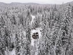 Flathead Valley - WF - Beaver Lake Cabin - Image 5