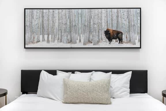 Flathead Valley - WF - Bella Alta Luxury Escape - Image 5