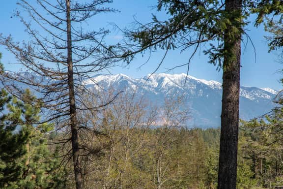 Flathead Valley - WF - Mountain View Lookout - Image 5
