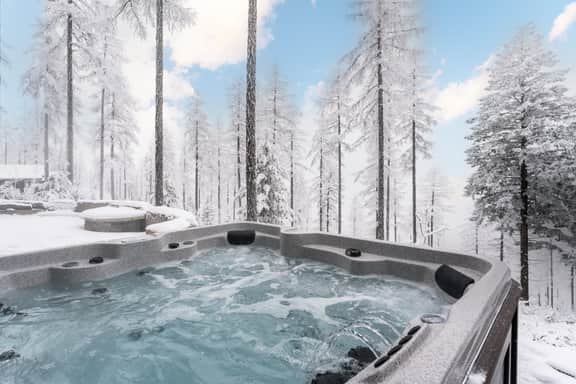 Flathead Valley - WF - Whitefish Lake Mountain Hideaway - Image 4