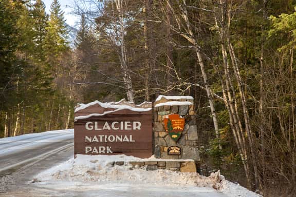 Flathead Valley - Apgar - Grizzly Suite #1 - Image 4
