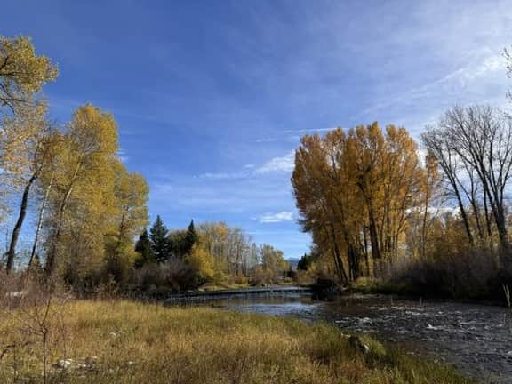 Bozeman - Sunflower River Hideaway - Image 2