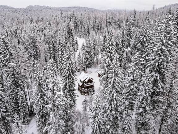 Flathead Valley - WF - Beaver Lake Cabin - Image 5